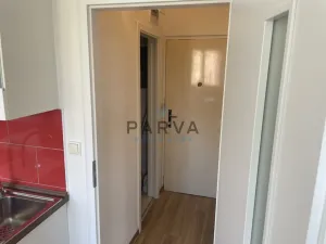 Pronájem bytu 1+1, Plzeň - Doudlevce, Luďka Pika, 36 m2