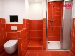 Pronájem bytu 1+kk, Brandýs nad Labem-Stará Boleslav - Brandýs nad Labem, Zahradnická, 39 m2