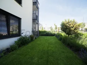Pronájem bytu 2+kk, Olomouc, Karla Mareše, 83 m2