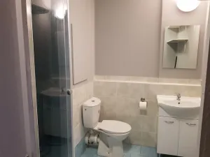 Pronájem bytu 1+1, Ostrava - Moravská Ostrava, Lechowiczova, 35 m2