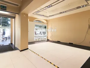 Pronájem restaurace, Praha - Nové Město, Václavské náměstí, 309 m2