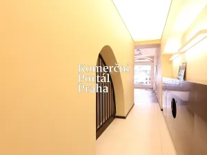 Pronájem restaurace, Praha - Nové Město, Václavské náměstí, 309 m2