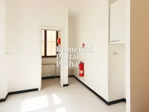 Pronájem restaurace, Praha - Nové Město, Václavské náměstí, 309 m2