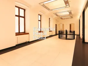 Pronájem obchodního prostoru, Praha - Nové Město, Václavské náměstí, 309 m2
