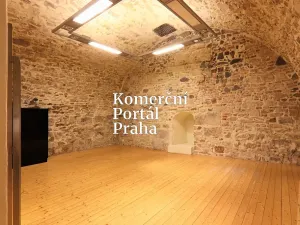Pronájem obchodního prostoru, Praha - Nové Město, Václavské náměstí, 309 m2