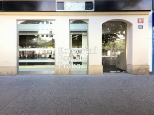 Pronájem obchodního prostoru, Praha - Nové Město, Václavské náměstí, 309 m2