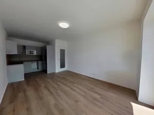 Pronájem bytu 2+kk, Brno, Příční, 54 m2