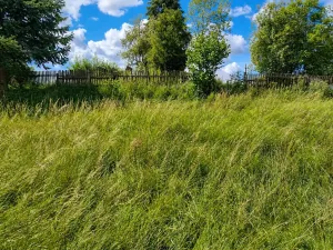 Prodej rodinného domu, Stráž nad Ohří, 200 m2