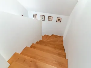Pronájem rodinného domu, Stehelčeves, V. Moravce, 383 m2