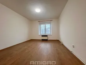 Pronájem bytu 1+1, Brno, Helfertova, 43 m2