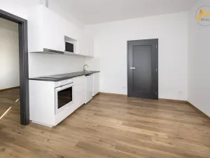 Pronájem bytu 2+kk, Písek - Pražské Předměstí, Vladislavova, 44 m2