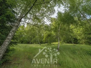 Prodej rodinného domu, Mosty u Jablunkova, 168 m2