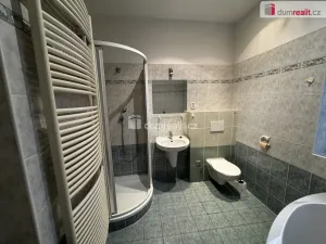 Pronájem rodinného domu, Pardubice - Bílé Předměstí, Na Okrouhlíku, 290 m2