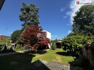 Pronájem kanceláře, Pardubice - Bílé Předměstí, Na Okrouhlíku, 290 m2