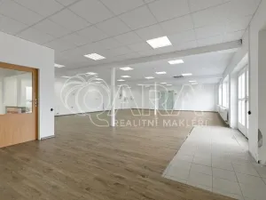 Pronájem obchodního prostoru, Nový Jičín, Riegrova, 149 m2