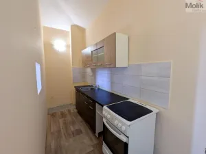 Pronájem bytu 1+1, Lom, Litvínovská, 42 m2