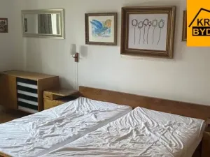 Pronájem rodinného domu, Rohozná, 220 m2