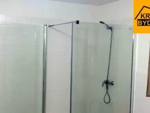 Pronájem rodinného domu, Rohozná, 220 m2