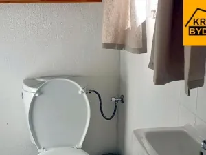 Pronájem rodinného domu, Rohozná, 220 m2