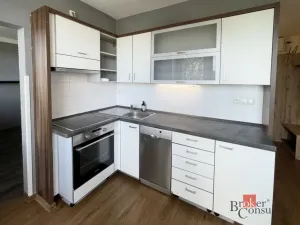 Pronájem bytu 2+1, Český Krumlov - Nádražní Předměstí, Sídliště Vyšný, 53 m2