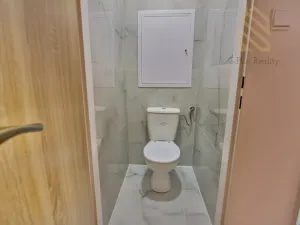 Prodej bytu 2+1, Chomutov, Holešická, 60 m2