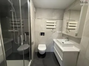 Pronájem bytu 2+kk, Most, Františka Malíka, 40 m2