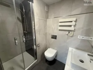 Pronájem bytu 2+kk, Most, Františka Malíka, 40 m2