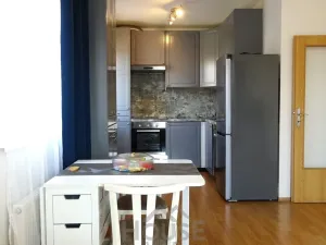 Prodej bytu 2+kk, Praha - Michle, V dolině, 43 m2