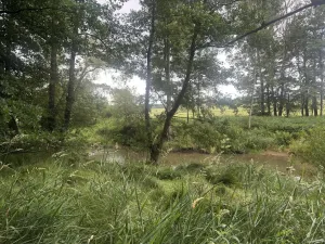 Prodej pole, Kaplice - Blansko, 27326 m2