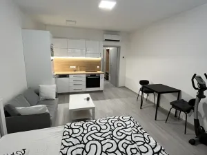 Pronájem bytu 1+kk, Olomouc, Wolkerova, 29 m2
