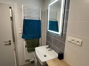 Pronájem bytu 1+kk, Olomouc, Wolkerova, 29 m2