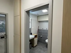 Pronájem bytu 1+kk, Olomouc, Wolkerova, 29 m2