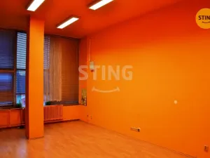 Pronájem obchodního prostoru, Prostějov, Plumlovská, 845 m2
