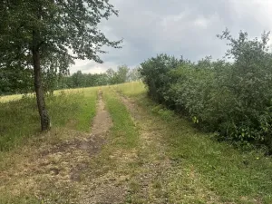 Prodej pozemku, Kaplice - Blansko, 3546 m2