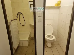Pronájem pokoje, Plzeň - Východní Předměstí, Zahradní, 22 m2