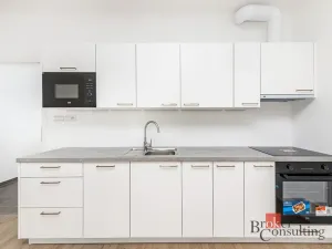 Prodej bytu 1+kk, Plzeň - Jižní Předměstí, Železná, 36 m2