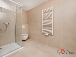 Prodej bytu 1+kk, Plzeň - Jižní Předměstí, Železná, 36 m2