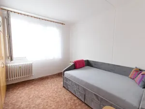 Pronájem bytu 2+1, Domažlice, Palackého, 50 m2