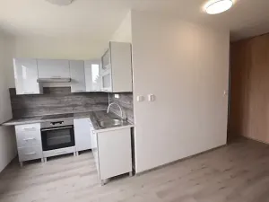Pronájem bytu 1+1, Blatná, Na Bílé husi, 44 m2