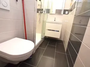 Pronájem bytu 1+1, Blatná, Na Bílé husi, 44 m2