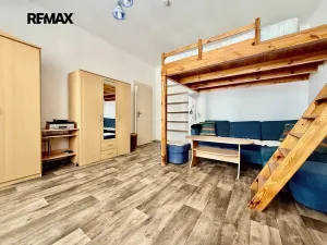 Pronájem bytu 1+1, Plzeň, Alešova, 50 m2