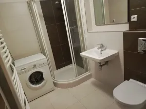 Pronájem bytu 2+kk, České Budějovice - České Budějovice 3, Nová, 48 m2