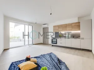 Pronájem bytu 2+kk, Praha - Nové Město, Vyšehradská, 52 m2