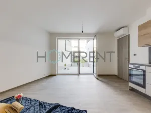 Pronájem bytu 2+kk, Praha - Nové Město, Vyšehradská, 52 m2