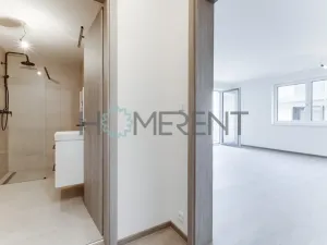 Pronájem bytu 1+kk, Praha - Nové Město, Vyšehradská, 37 m2