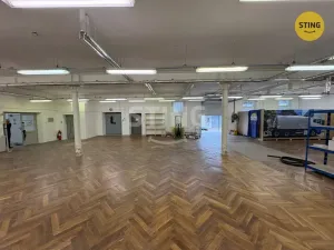 Pronájem skladu, Prostějov, Havlíčkova, 298 m2