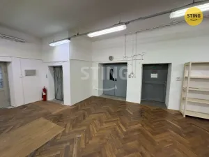 Pronájem skladu, Prostějov, Havlíčkova, 298 m2