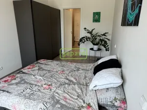 Pronájem bytu 2+kk, Slaný - Kvíček, U Benaru, 55 m2