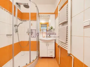 Prodej bytu 3+1, Člunek - Lomy, 63 m2