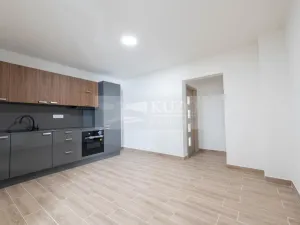 Prodej bytu 3+kk, Brno, Růžová, 47 m2